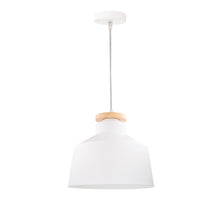 Load image into Gallery viewer, Forlight Nube Pendant IP20 60W
